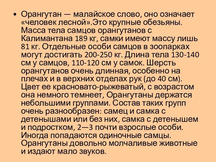 Орангутан — малайское слово, оно означает «человек лесной».Это крупные обезьяны. Масса