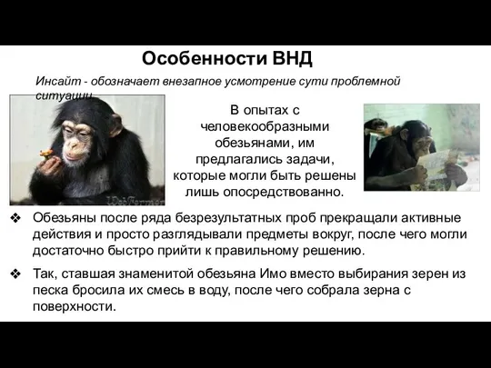 В опытах с человекообразными обезьянами, им предлагались задачи, которые могли быть