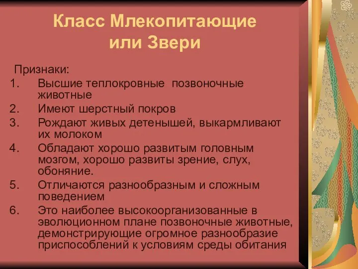 Класс Млекопитающие или Звери Признаки: Высшие теплокровные позвоночные животные Имеют шерстный