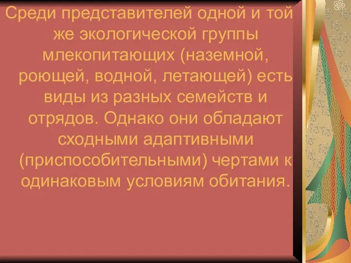 Среди представителей одной и той же экологической группы млекопитающих (наземной, роющей,