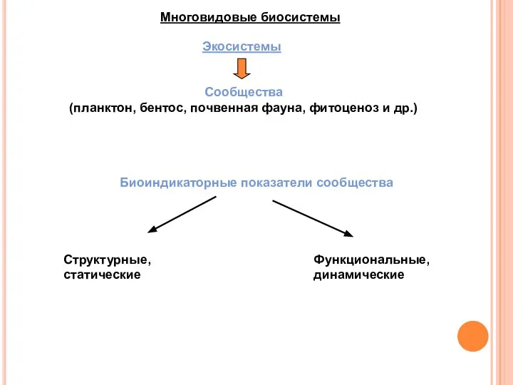 Многовидовые биосистемы Экосистемы Сообщества (планктон, бентос, почвенная фауна, фитоценоз и др.)