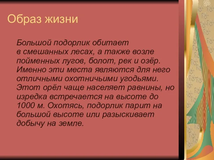 Образ жизни Большой подорлик обитает в смешанных лесах, а также возле