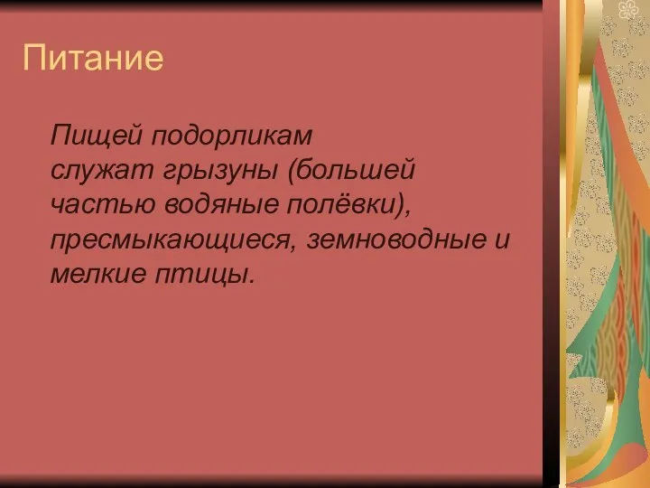 Питание Пищей подорликам служат грызуны (большей частью водяные полёвки), пресмыкающиеся, земноводные и мелкие птицы.