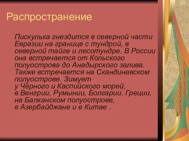 Распространение Пискулька гнездится в северной части Евразии на границе с тундрой,