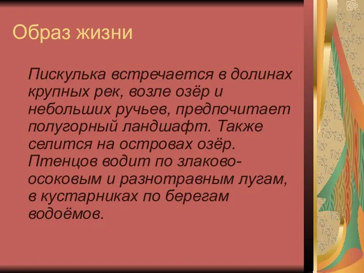 Образ жизни Пискулька встречается в долинах крупных рек, возле озёр и