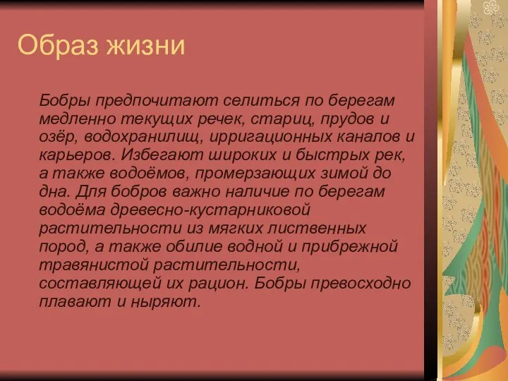 Образ жизни Бобры предпочитают селиться по берегам медленно текущих речек, стариц,