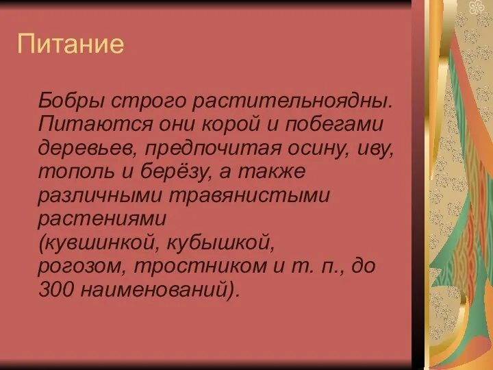 Питание Бобры строго растительноядны. Питаются они корой и побегами деревьев, предпочитая