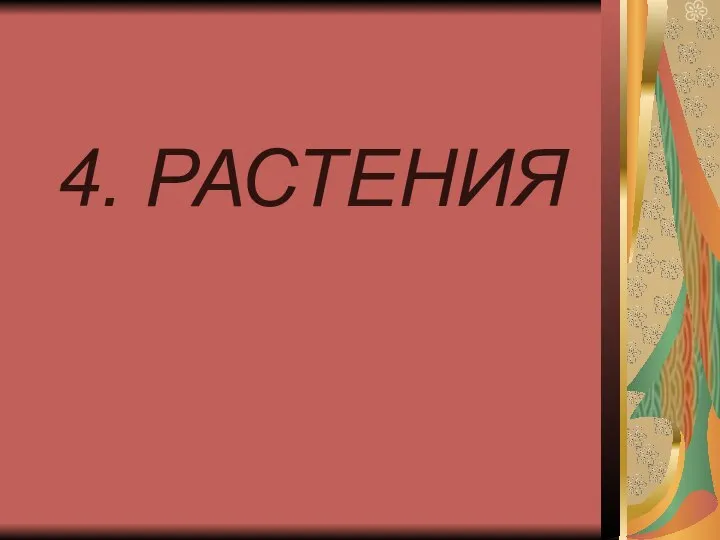 4. РАСТЕНИЯ