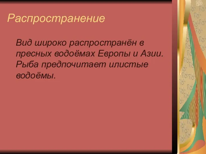 Распространение Вид широко распространён в пресных водоёмах Европы и Азии. Рыба предпочитает илистые водоёмы.