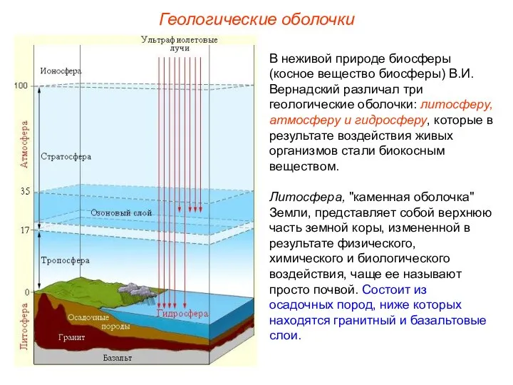 Геологические оболочки В неживой природе биосферы (косное вещество биосферы) В.И.Вернадский различал