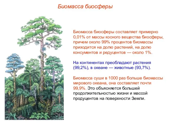 Биомасса биосферы Биомасса биосферы составляет примерно 0,01% от массы косного вещества