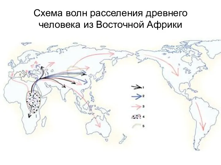 Схема волн расселения древнего человека из Восточной Африки