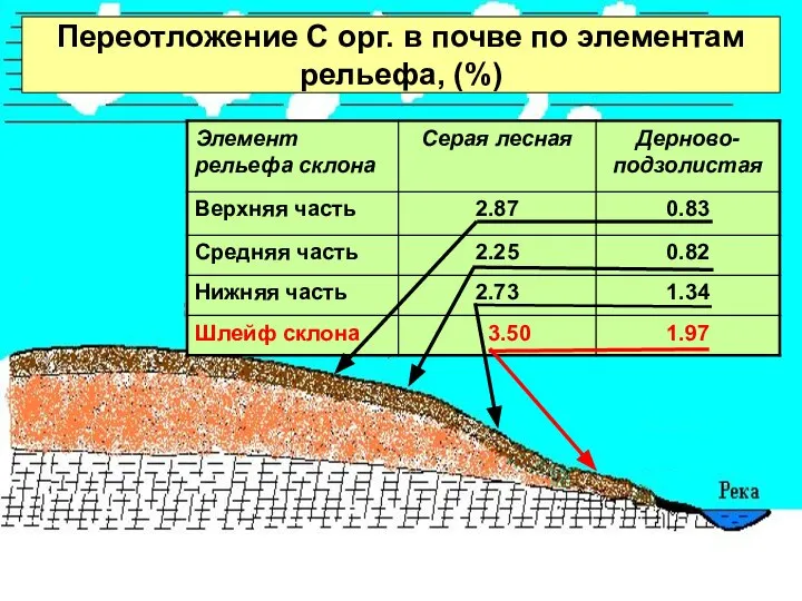 Переотложение С орг. в почве по элементам рельефа, (%)