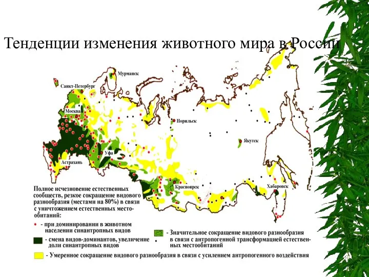 Тенденции изменения животного мира в России