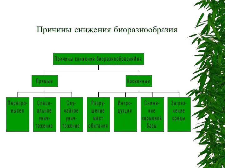 Причины снижения биоразнообразия