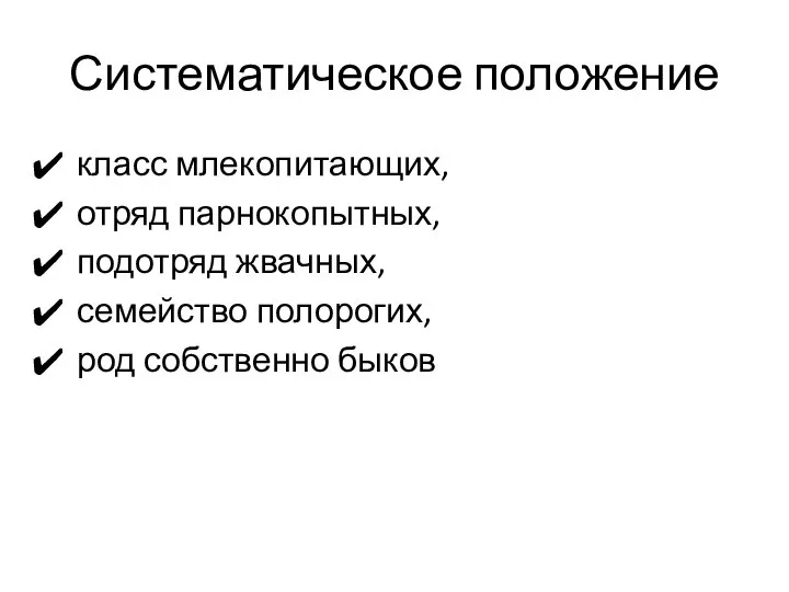 Систематическое положение класс млекопитающих, отряд парнокопытных, подотряд жвачных, семейство полорогих, род собственно быков