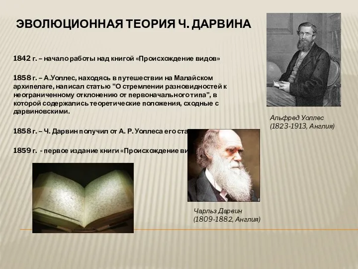 Эволюционная теория Ч. Дарвина 1842 г. – начало работы над книгой