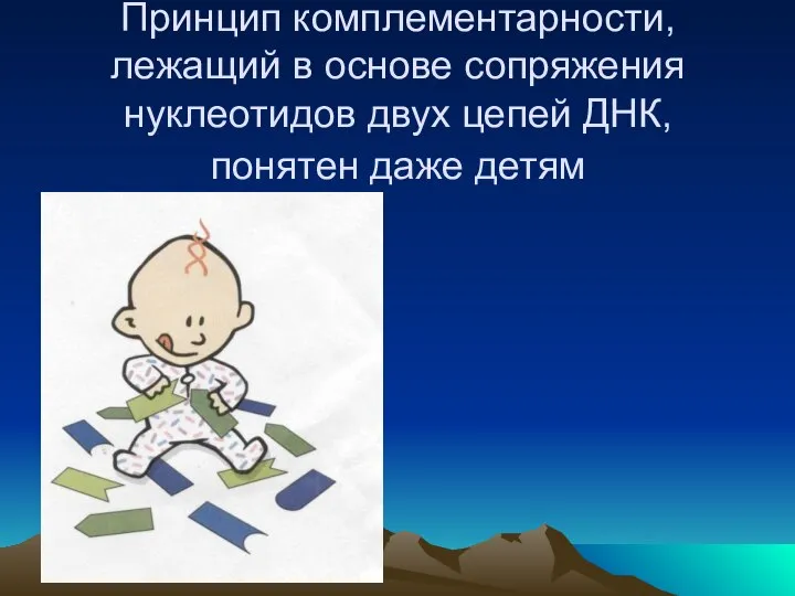 Принцип комплементарности, лежащий в основе сопряжения нуклеотидов двух цепей ДНК, понятен даже детям