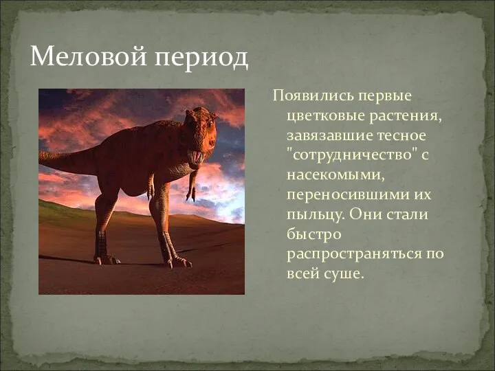 Появились первые цветковые растения, завязавшие тесное "сотрудничество" с насекомыми, переносившими их