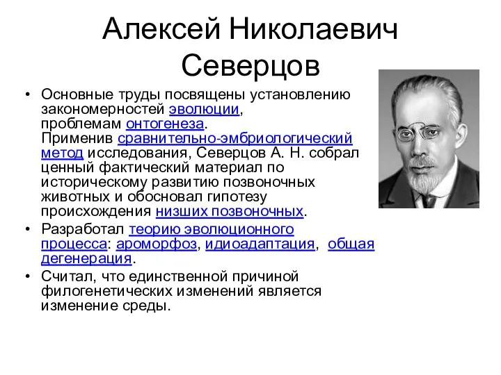 Алексей Николаевич Северцов Основные труды посвящены установлению закономерностей эволюции, проблемам онтогенеза.