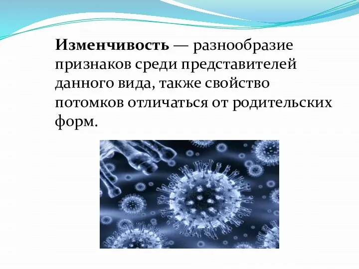 Изменчивость — разнообразие признаков среди представителей данного вида, также свойство потомков отличаться от родительских форм.