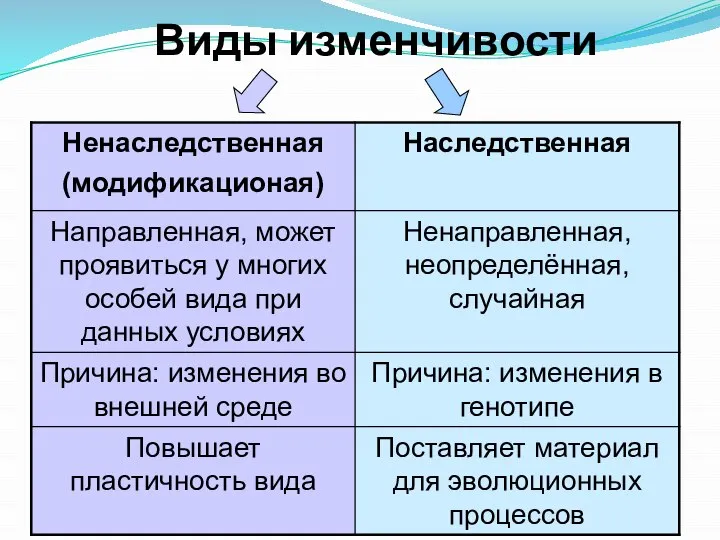 Виды изменчивости