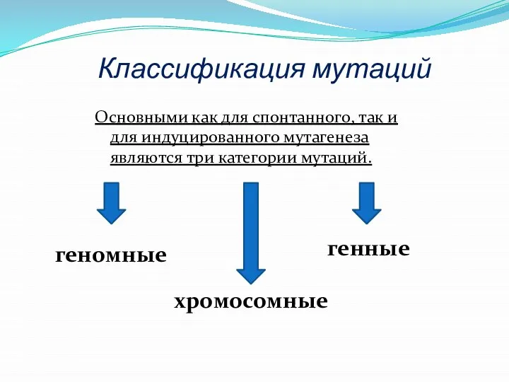 Классификация мутаций Основными как для спонтанного, так и для индуцированного мутагенеза