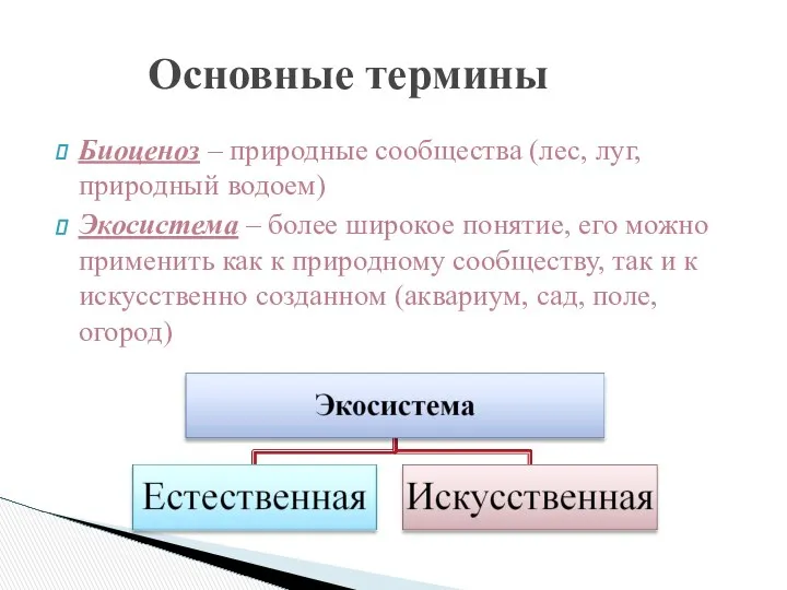 Биоценоз – природные сообщества (лес, луг, природный водоем) Экосистема – более