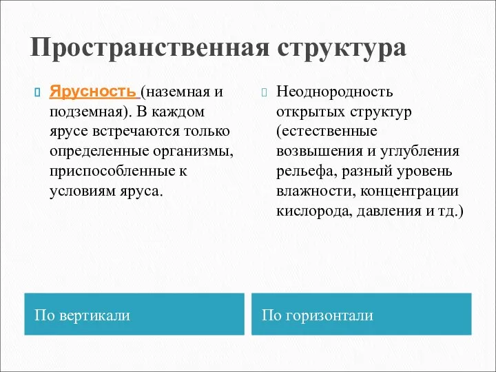 Пространственная структура По вертикали По горизонтали Ярусность (наземная и подземная). В