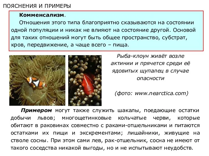 ПОЯСНЕНИЯ И ПРИМЕРЫ Комменсализм. Отношения этого типа благоприятно сказываются на состоянии