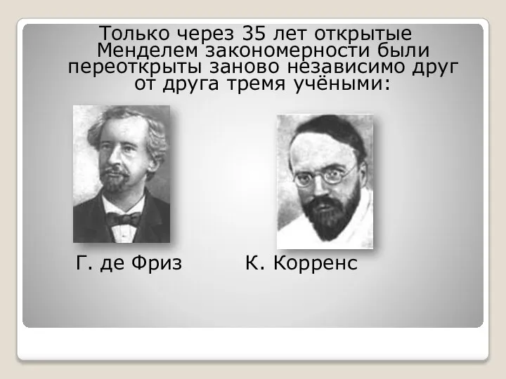 Только через 35 лет открытые Менделем закономерности были переоткрыты заново независимо