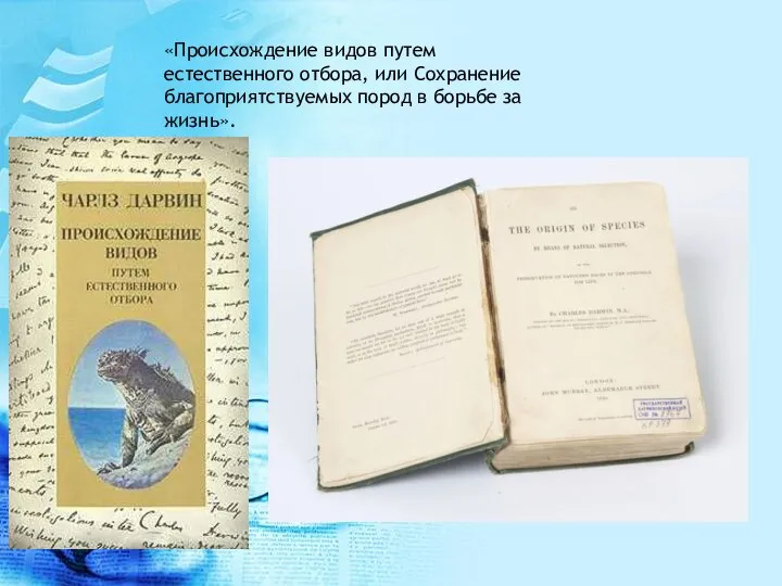 «Происхождение видов путем естественного отбора, или Сохранение благоприятствуемых пород в борьбе за жизнь».