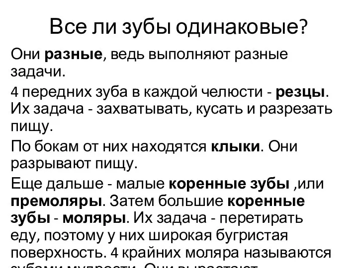 Все ли зубы одинаковые? Они разные, ведь выполняют разные задачи. 4