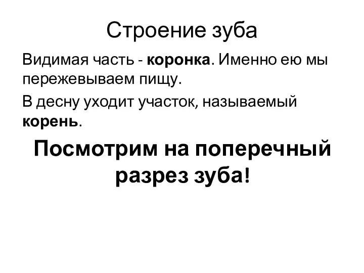 Строение зуба Видимая часть - коронка. Именно ею мы пережевываем пищу.