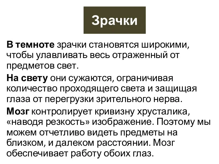 Зрачки В темноте зрачки становятся широкими, чтобы улавливать весь отраженный от