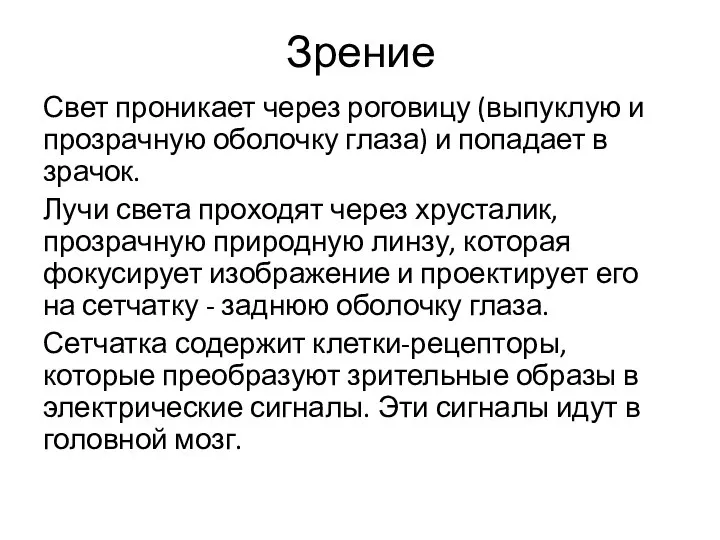 Зрение Свет проникает через роговицу (выпуклую и прозрачную оболочку глаза) и