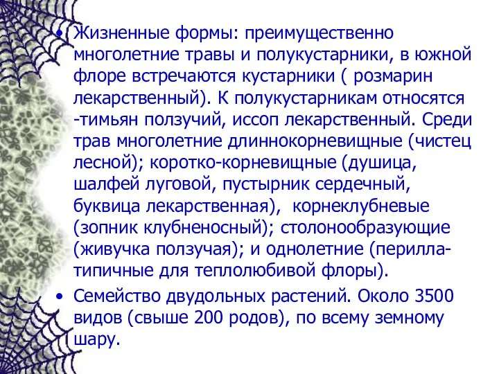 Жизненные формы: преимущественно многолетние травы и полукустарники, в южной флоре встречаются