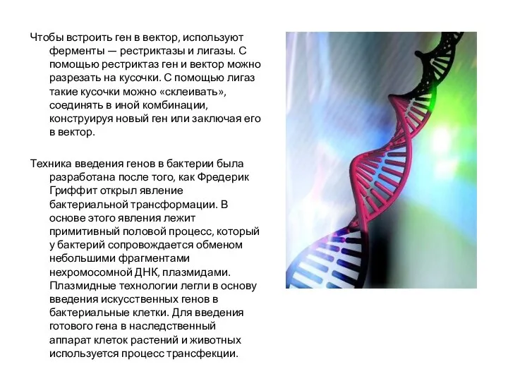 Чтобы встроить ген в вектор, используют ферменты — рестриктазы и лигазы.
