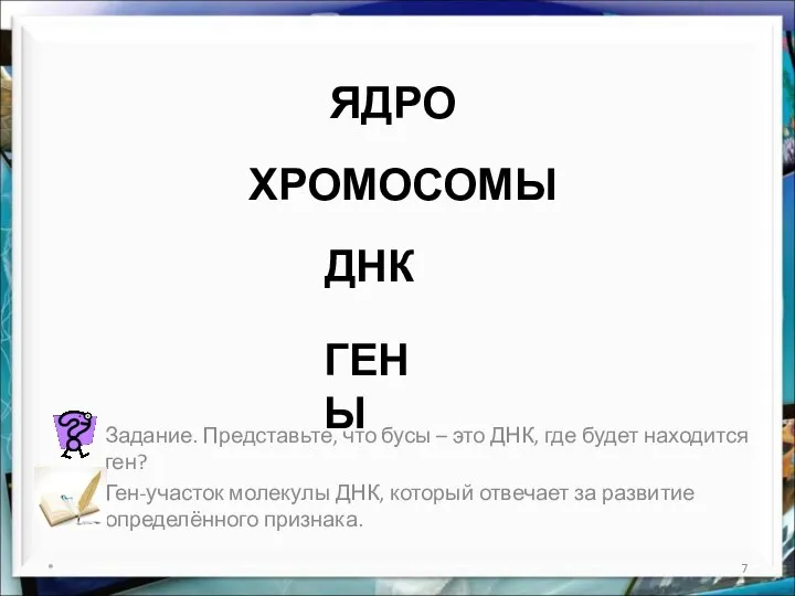 ЯДРО * ХРОМОСОМЫ ДНК ГЕНЫ Задание. Представьте, что бусы – это