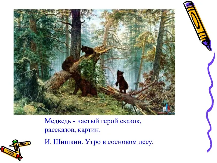 Медведь - частый герой сказок, рассказов, картин. И. Шишкин. Утро в сосновом лесу.