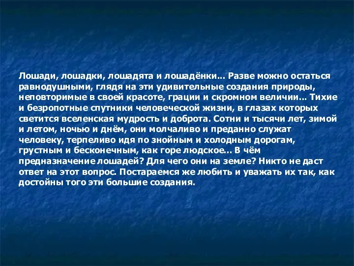 Лошади, лошадки, лошадята и лошадёнки... Разве можно остаться равнодушными, глядя на