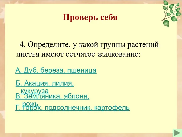 Проверь себя 4. Определите, у какой группы растений листья имеют сетчатое