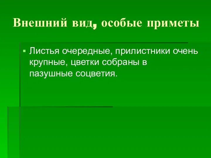 Внешний вид, особые приметы Листья очередные, прилистники очень крупные, цветки собраны в пазушные соцветия.