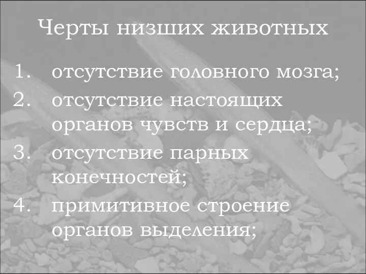 Черты низших животных отсутствие головного мозга; отсутствие настоящих органов чувств и