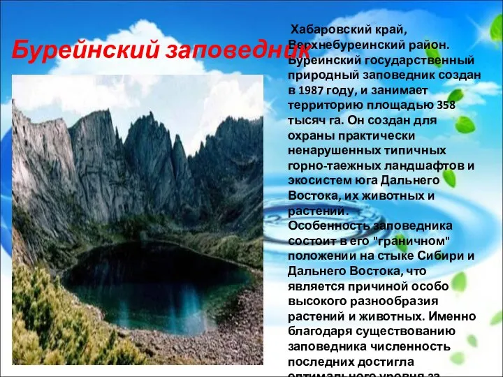 Хабаровский край, Верхнебуреинский район. Буреинский государственный природный заповедник создан в 1987