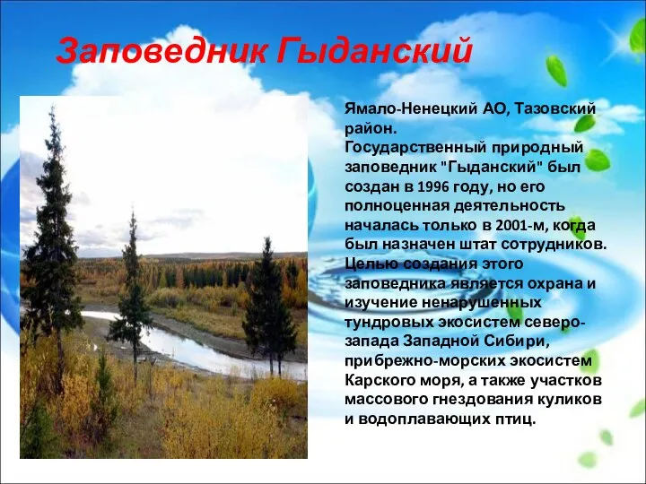 Заповедник Гыданский Ямало-Ненецкий АО, Тазовский район. Государственный природный заповедник "Гыданский" был