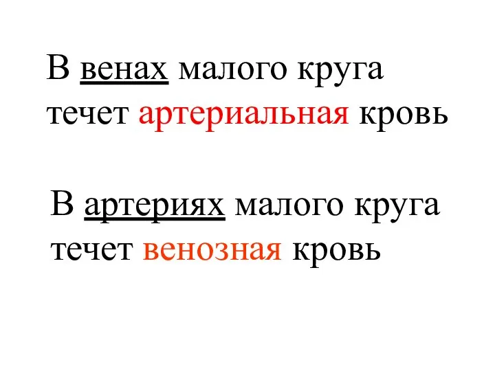 В артериях малого круга течет венозная кровь В венах малого круга течет артериальная кровь