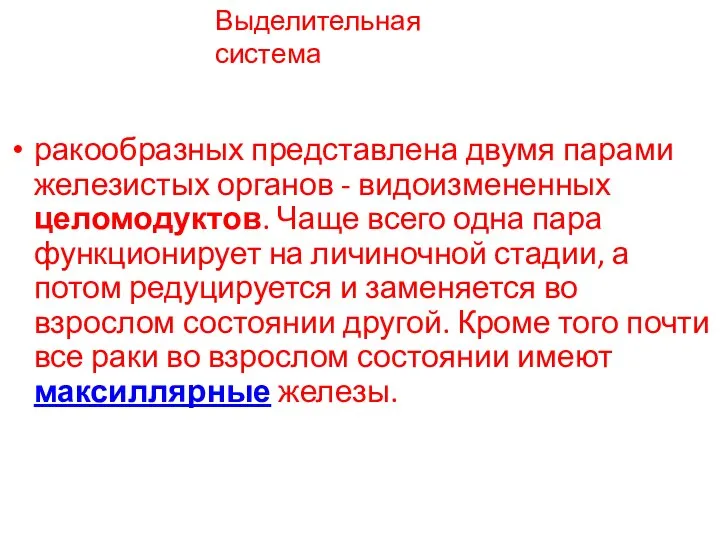 Выделительная система ракообразных представлена двумя парами железистых органов - видоизмененных целомодуктов.