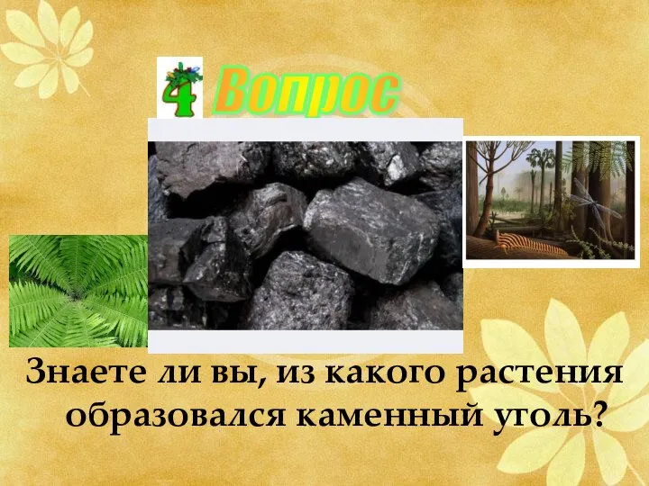 Знаете ли вы, из какого растения образовался каменный уголь? Вопрос