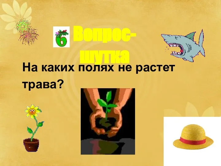 Вопрос-шутка На каких полях не растет трава?